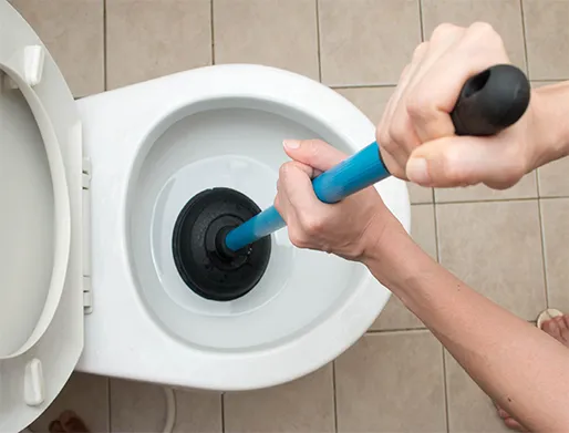 Como Desentupir Vaso Sanitário em Carapicuíba