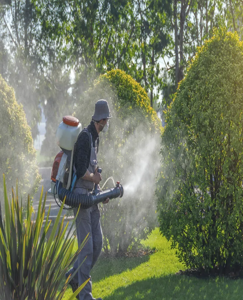 Manutenção de Jardim em São Paulo